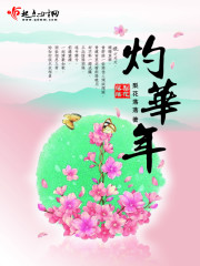 闪烁拳芒