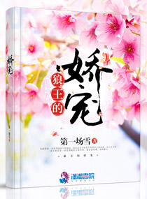 秦皇纪