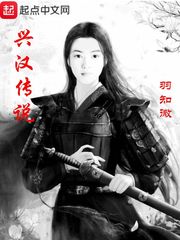 兴汉传
