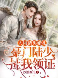 司少甜妻，宠定了