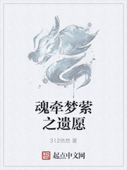魂牵梦萦之遗愿