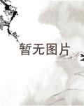 穿越财富人生