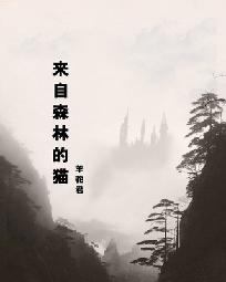 好莱坞之路