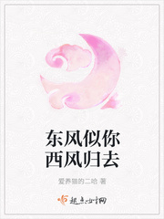 东风似你西风归去