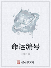 命运编号