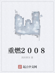重燃2008