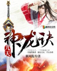 九天神龙诀