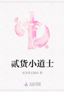 贰货小道士