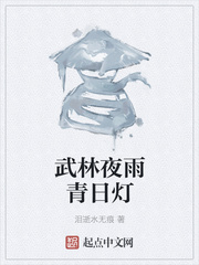 武林夜雨青日灯