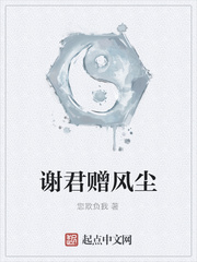谢君赠风尘