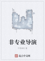 非专业导演