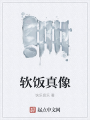 软饭真像