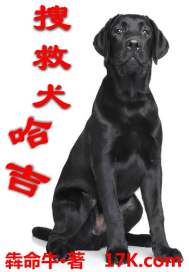 搜救犬哈吉