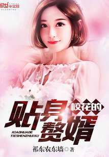 校花的贴身赘婿